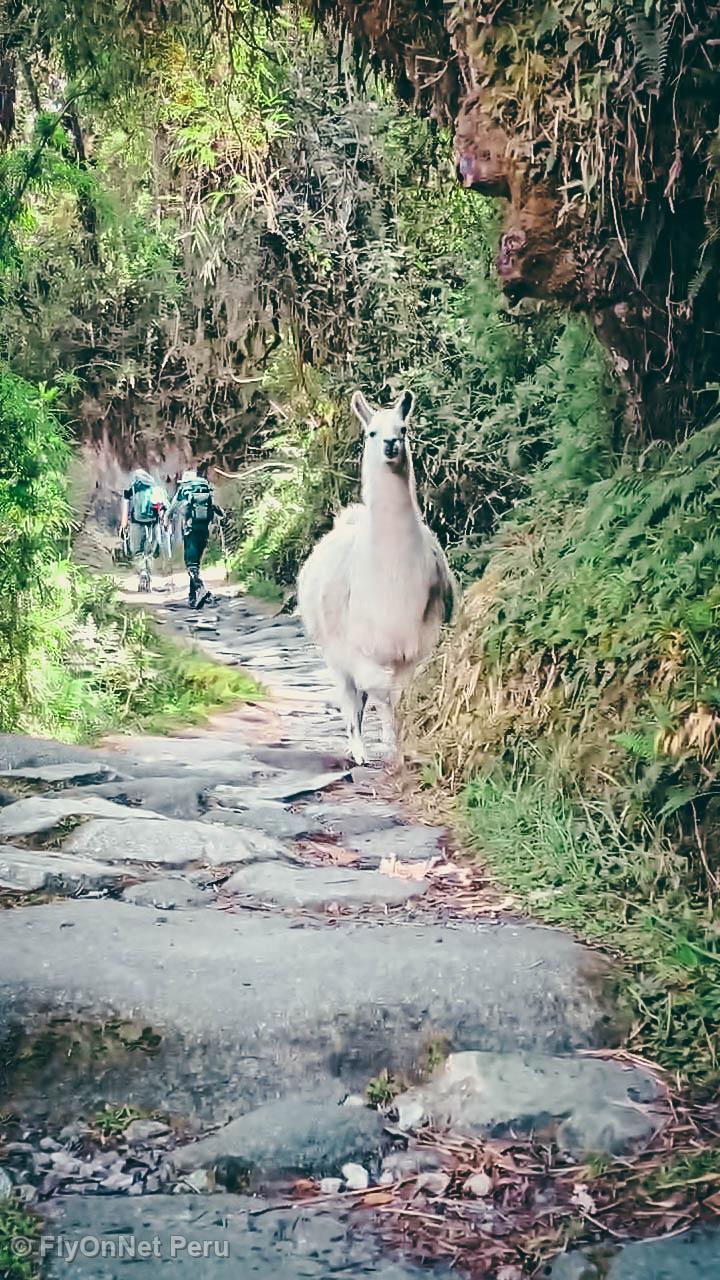 Album photos: Chemin Inca