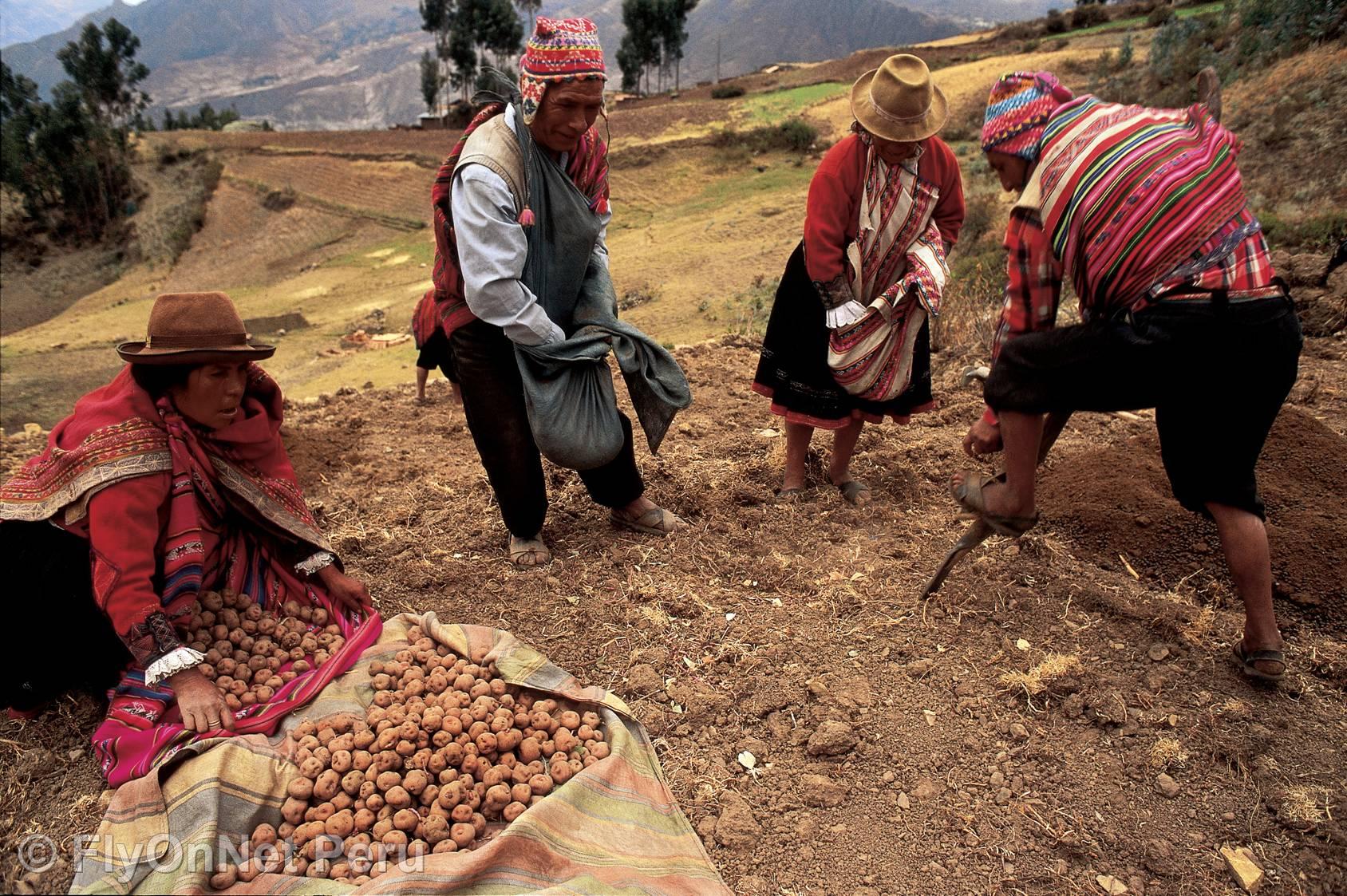 Album photos: Cuzco