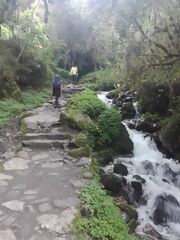 Chemin Inca