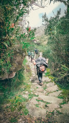 Chemin Inca